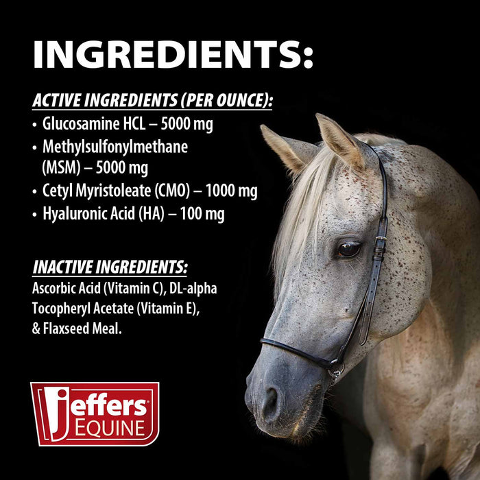 Jeffers Motion Potion CM Advanced Joint Formula Powder Supplement for Horses
