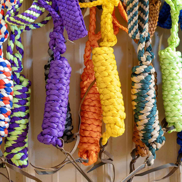 Jeffers Braided Mule Tape Halter with 10' Lead for Horses