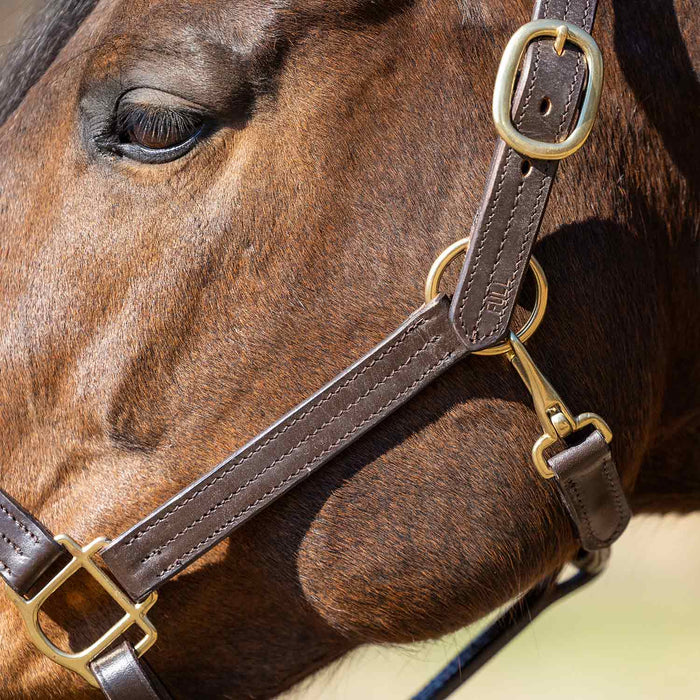 Jeffers Versailles Triple Stitched Adjustable Leather Halter for Horses, Havana