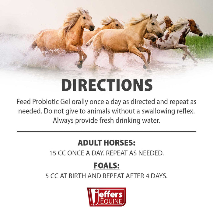 Jeffers IverPro 2 Pack Horse Dewormer Paste with Probiotic Gel, Ivermectin 1.87% Equine Parasite Control & Digestive Support