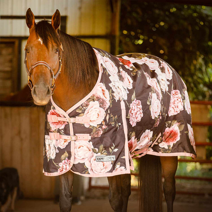 Jeffers Expression 1200 Denier Standard Neck Turnout Horse Blanket, 240 Gram