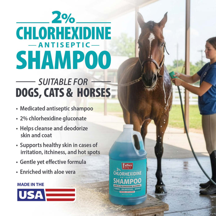 Jeffers Medicated 2% Chlorhexidine Shampoo for Dogs, Cats & Horses