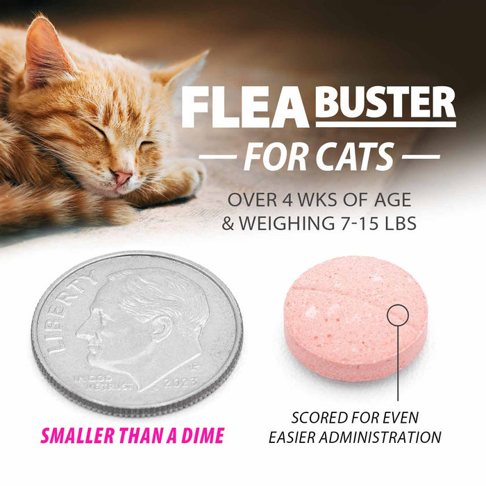 Jeffers Flea Buster Cat Monthly Oral Flea Supplement