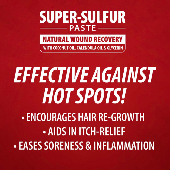 Jeffers Super-Sulfur Skin & Wound Healing Paste for Pets, Horses, & Livestock