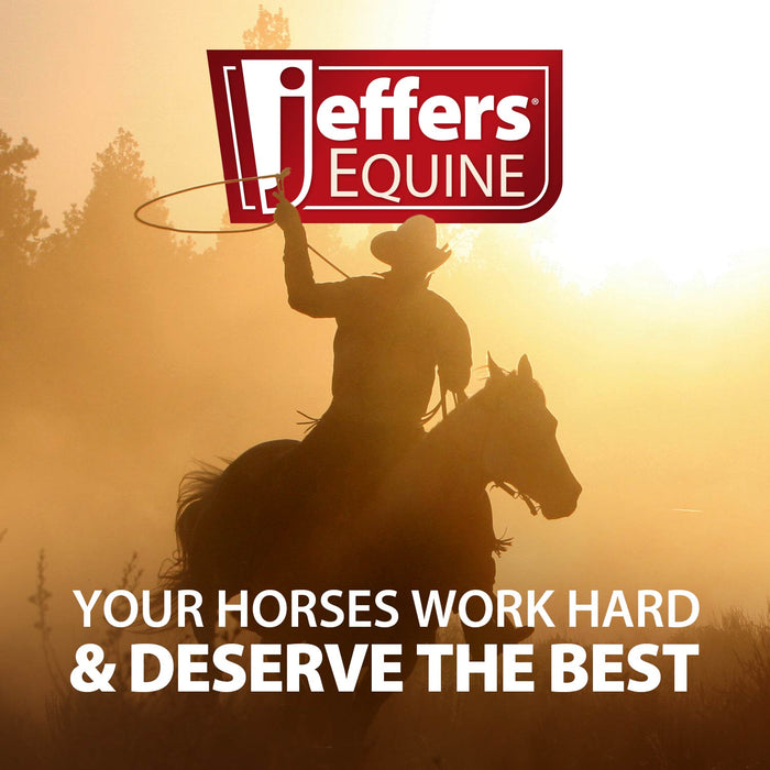 Jeffers Conway Buckles for Tack & Halters, 10 Pack