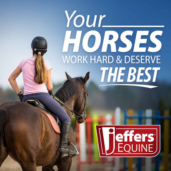 Jeffers 8-Slot Round Plastic Whip Holder, Wall Mounted Tack Organizer