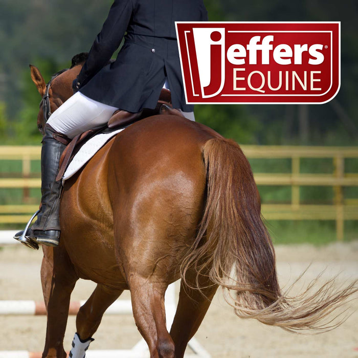Jeffers Uniquely English "Hampton" Leather Hunter Bridle with Laced Reins for Horses