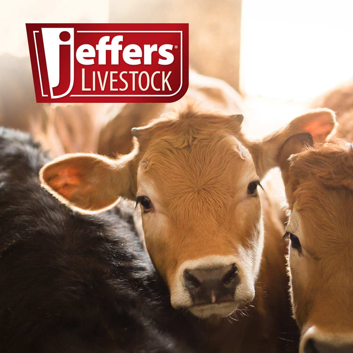 Jeffers Bull Rings with Screws