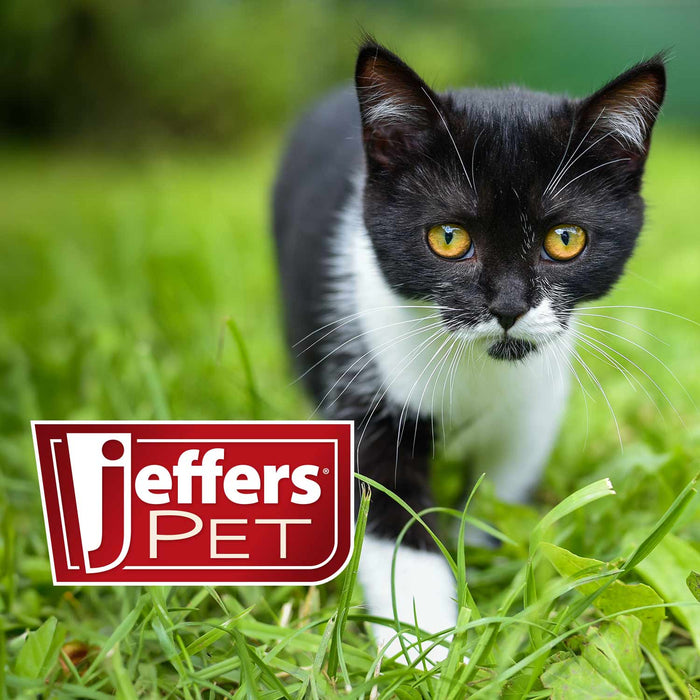 Jeffers 2-Sided Pin & Nylon Bristle Pet Grooming Brush