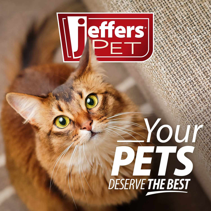 Jeffers Adjustable Breakaway Safety Cat Collar with Bell, 8"-12"