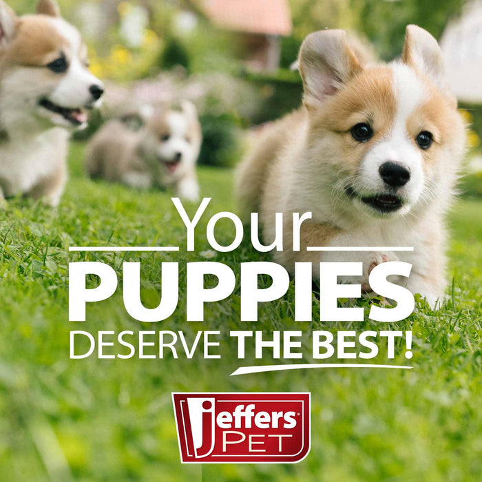 Jeffers Stainless Steel Flying Saucer Puppy Food & Water Bowl