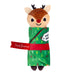 Holiday Pull-A-Partz™ Present Color Green