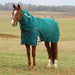 WeatherBeeta ComFITec Plus Dynamic Detach-A-Neck Turnout Blanket Color Forest Green