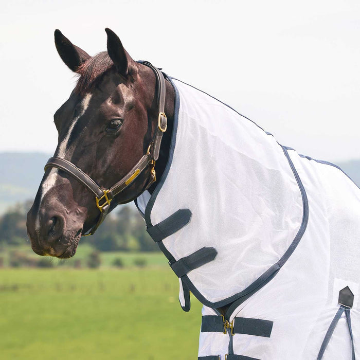 WeatherBeeta Saxon Combo Neck Mesh Fly Sheet with Belly Wrap, Technicolor Horses Color white