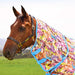 WeatherBeeta Saxon Combo Neck Mesh Fly Sheet with Belly Wrap, Technicolor Horses Color Multi