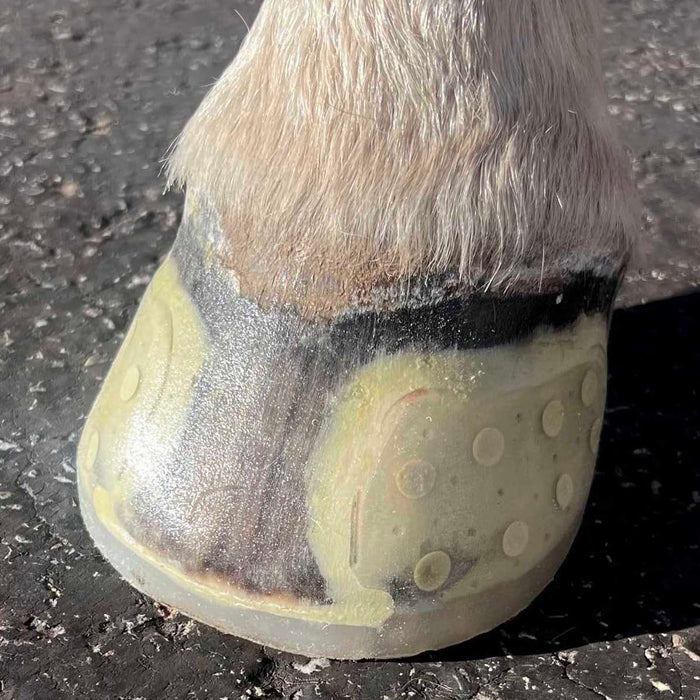 EasyShoe Speed Size Hind 134