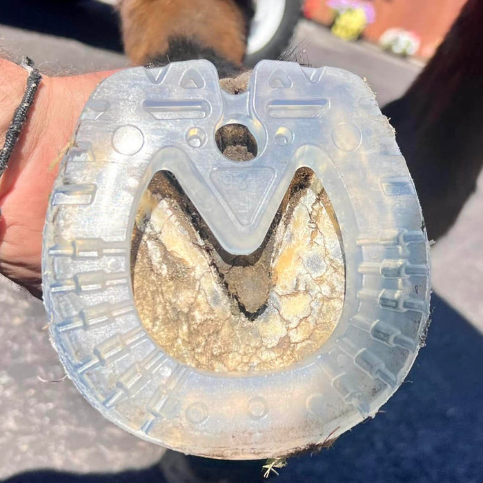 EasyShoe Speed Size Hind 134