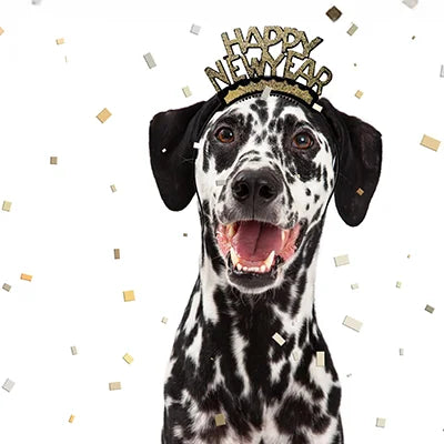 Save 10% with code NEW26 - some exclusions apply- dog on confetti background