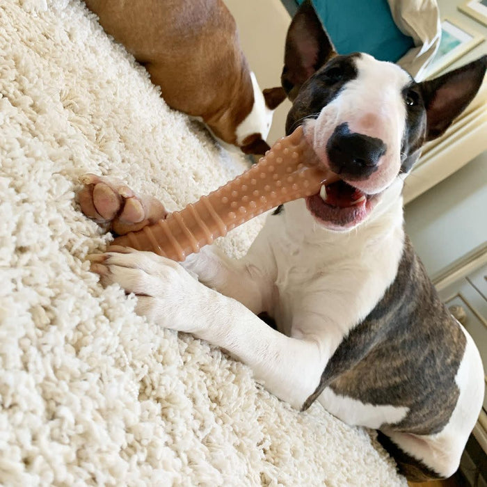 Power Chew Dog Toy, Bacon, X-Large/Souper, 50+ lbs
