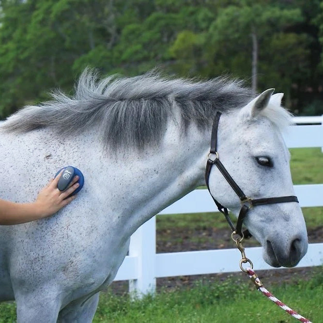 Oster Coarse Curry Comb for Horse Grooming