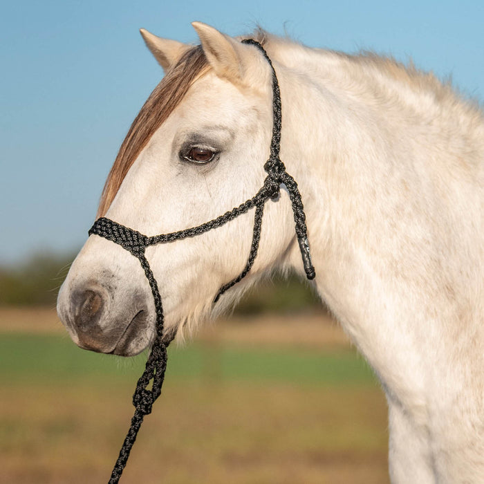 Cashel Flat Braid Pony Halter Color Black