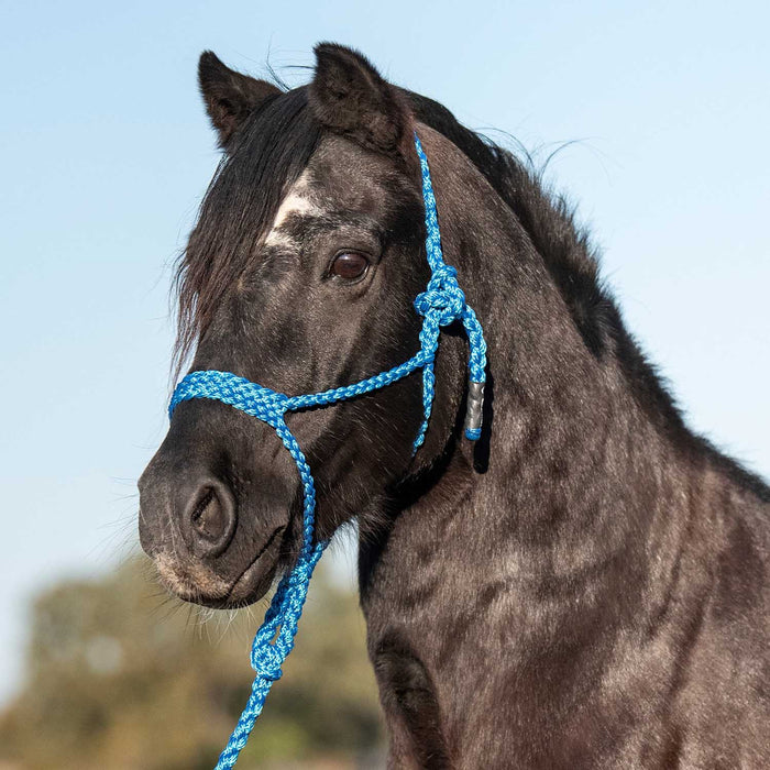 Cashel Flat Braid Pony Halter Color Blue