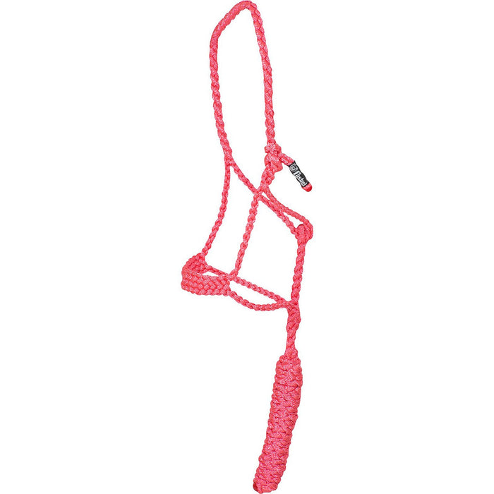 Cashel Flat Braid Pony Halter Color Pink