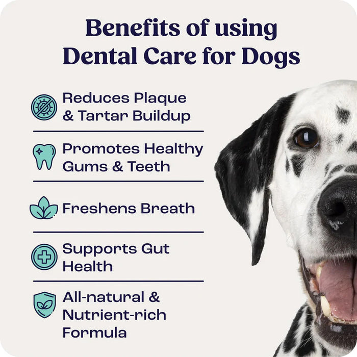 Summit Animal Helath Dental Care for Dogs, 1.43oz Size 1.43oz