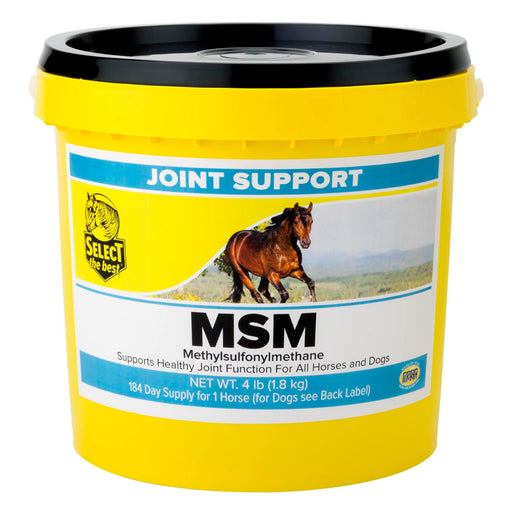 MSM Joint Support Supplement Size 4 lb