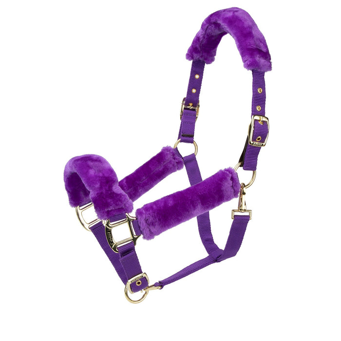 Arma Fleece Lined Halter with Breakaway Tab Color Purple