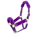Arma Fleece Lined Halter with Breakaway Tab Color Purple