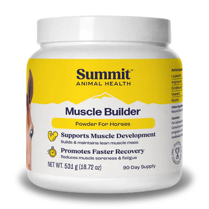 Muscle Builder Supplement Powder for Horses