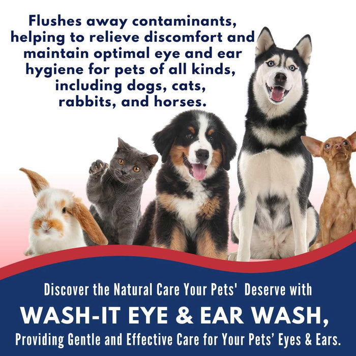 Wash It Eye & Ear Wash, 4 oz