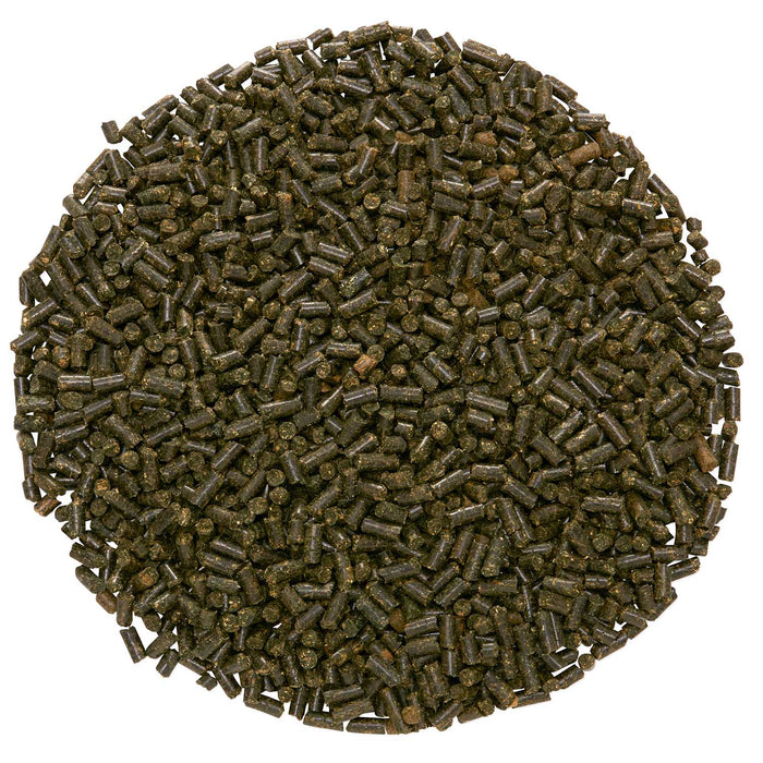 Lung EQ, Respiratory Support Supplement for Horses, Pellets