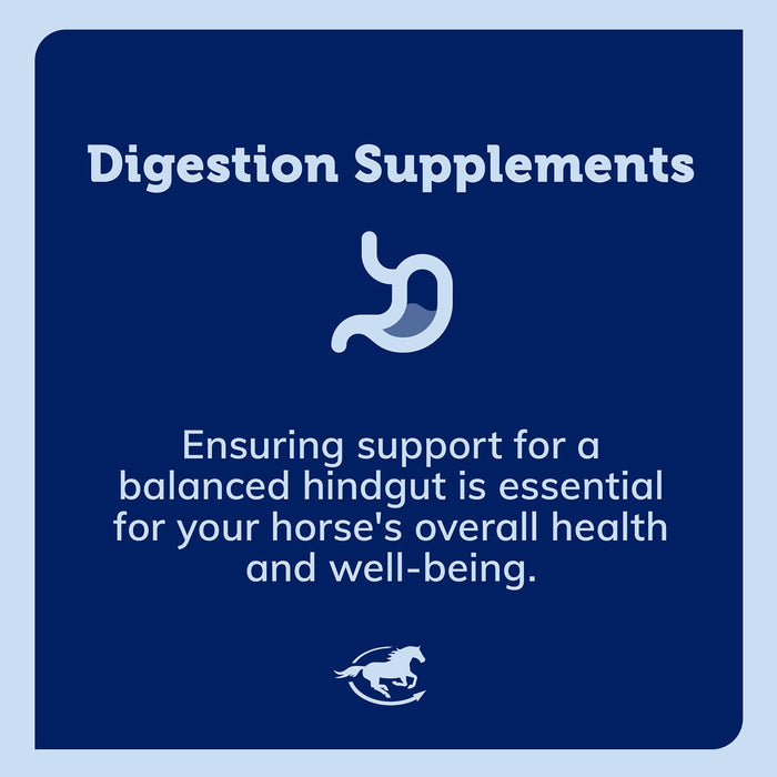 SmartEquine Smart & Simple Psyllium Pellets Size 4.4 LB