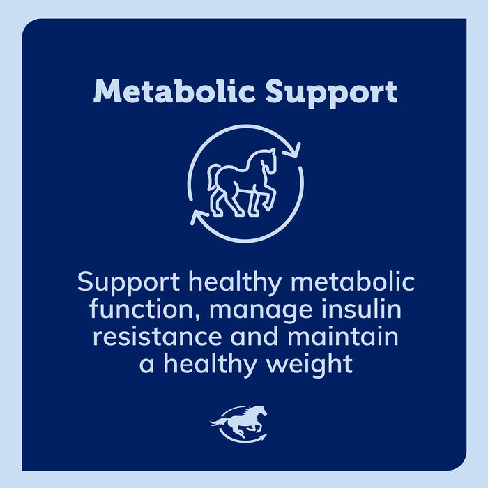 TSF 100, Thyroid Support Supplement for Horses, Powder