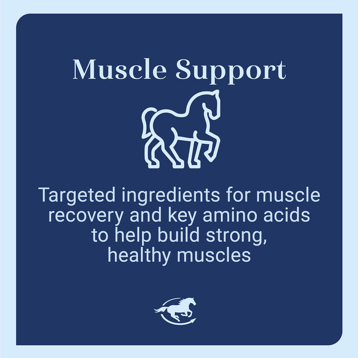 Acetyl L-Carnitine HCL Muscle Support for Horses, Powder