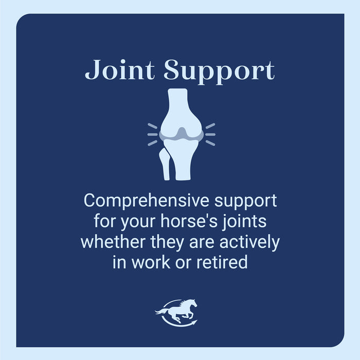 Arthroxigen Joint Support For Horses, Powder