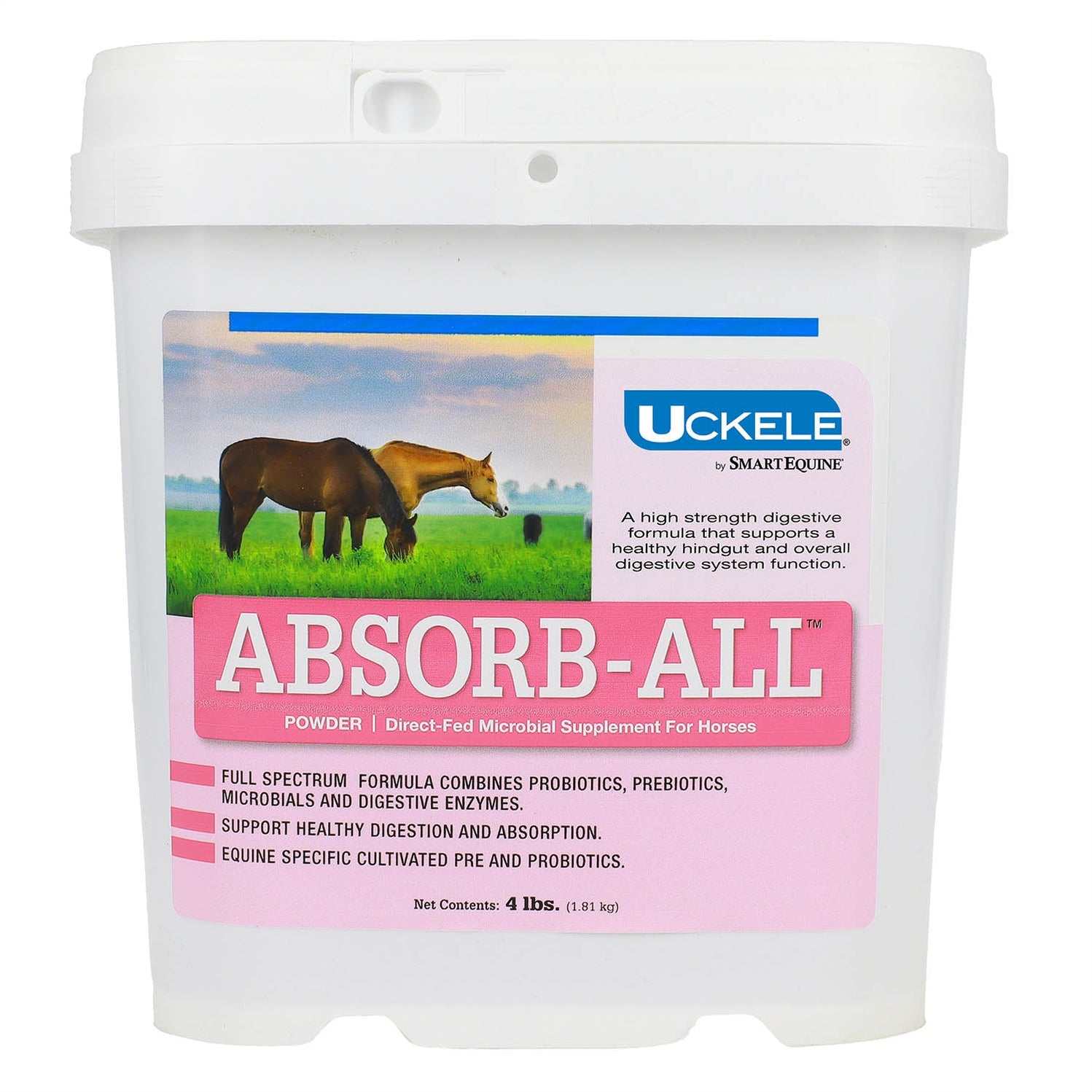 Absorb It Powder Absorb-All Powder Digestive Supplement for Horses — Lambert Vet Supplies