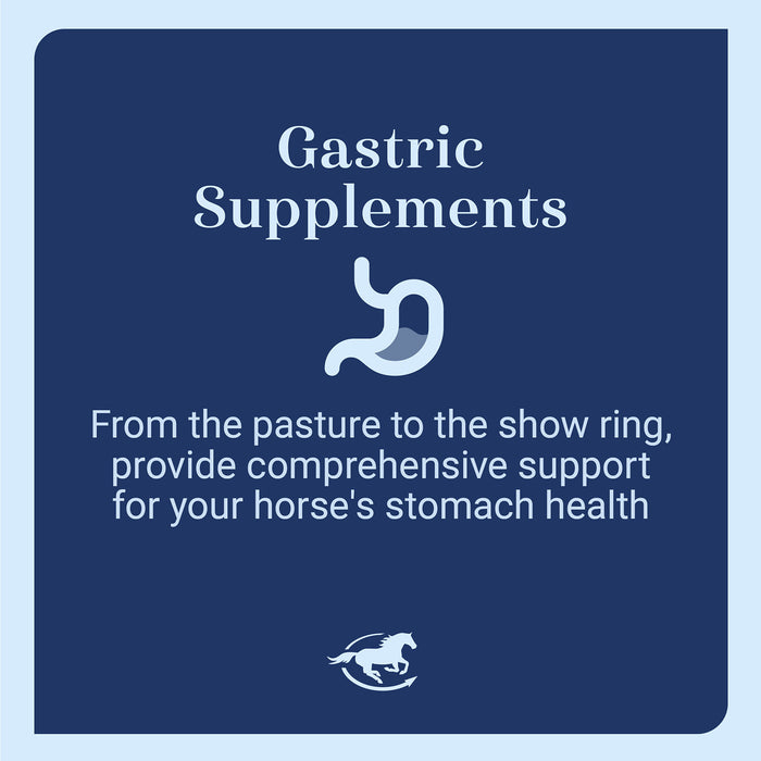 GUT Digestive Support for Horses, Paste