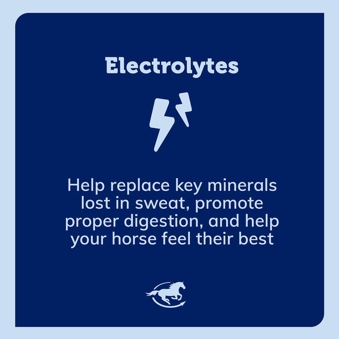 SmartEquine SmartLytes Paste Size One Size