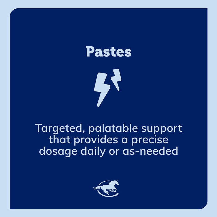 SmartEquine SmartLytes Paste Size One Size