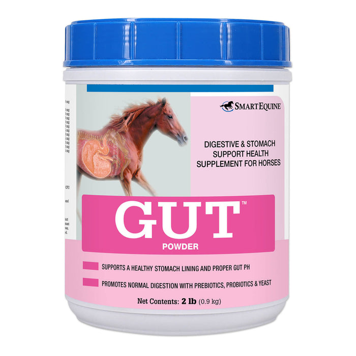 GUT, Digestive & Stomach Support Supplement for Horses, Powder