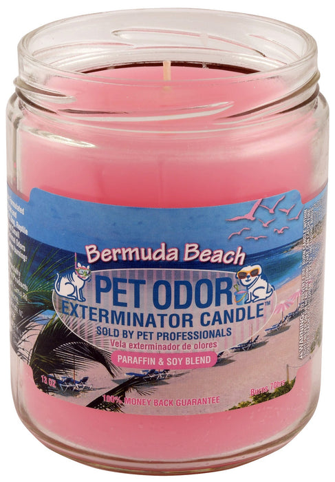 Pet Odor Exterminator Candle – Enzyme-Based Odor Eliminating Candle Safe for Pets