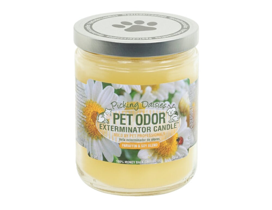 Pet Odor Exterminator Candle – Enzyme-Based Odor Eliminating Candle Safe for Pets