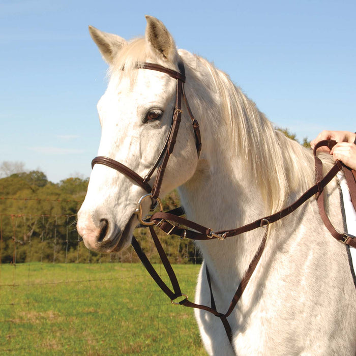 Jeffers German Olympic Running Martingale for Horses with Reins