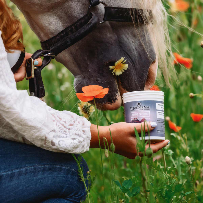 Equiderma Wound Ointment