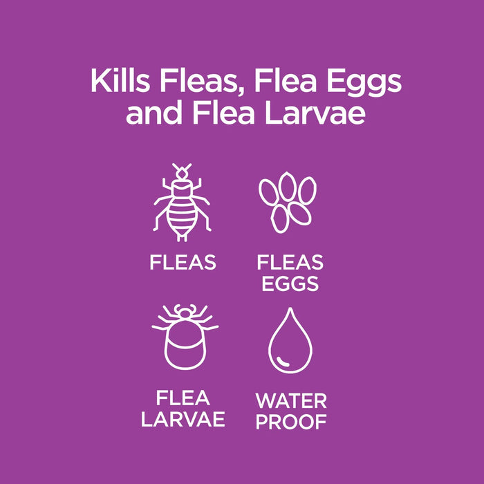 Vetality Advotect II for Cats, 6 pack