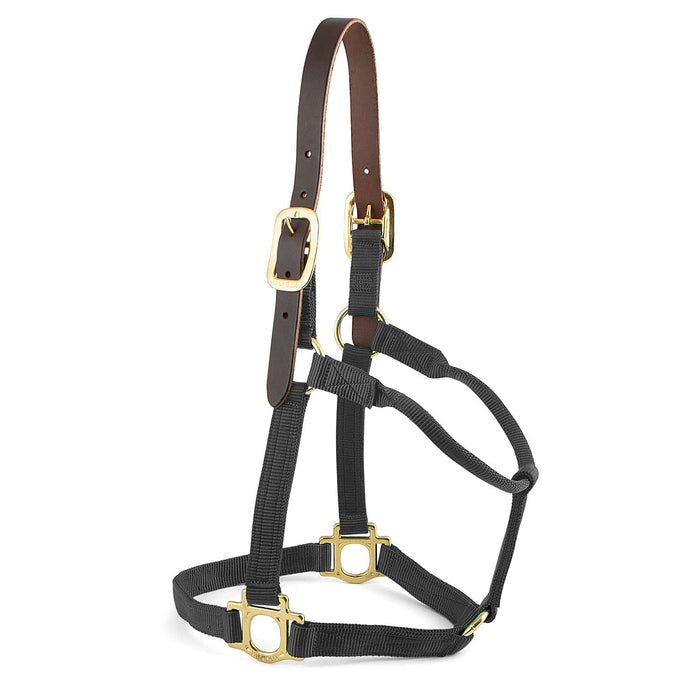 Valhoma Premium Breakaway Nylon Horse Halter with Leather Crown & Brass Hardware