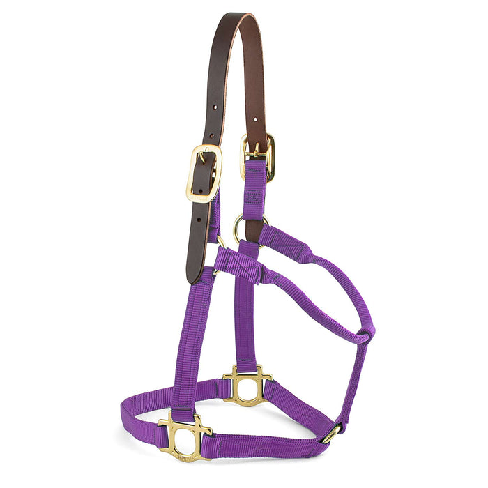 Valhoma Premium Breakaway Nylon Horse Halter with Leather Crown & Brass Hardware